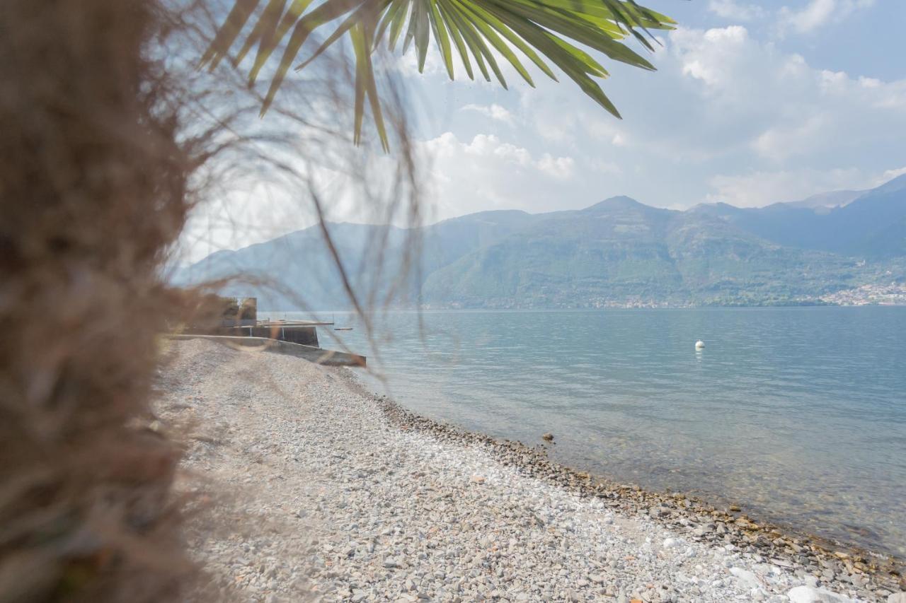 Dream Lake Apartments Lake View - Private Beach By Rent All Como Lezzeno Dış mekan fotoğraf